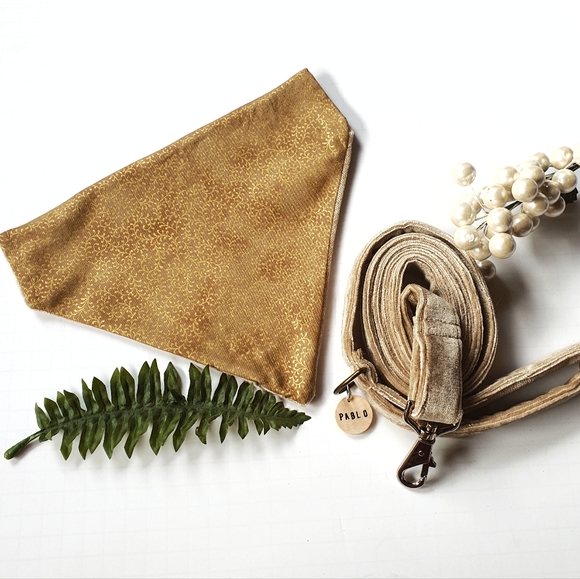 Pablo Gold Label Christmas Tan Velvet Dog Bandana & Leash Set - Picture 6 of 11